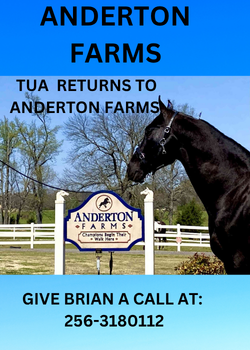 ANDERTON FARMS